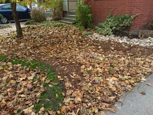 Jamison's Full Service Lawn Logo