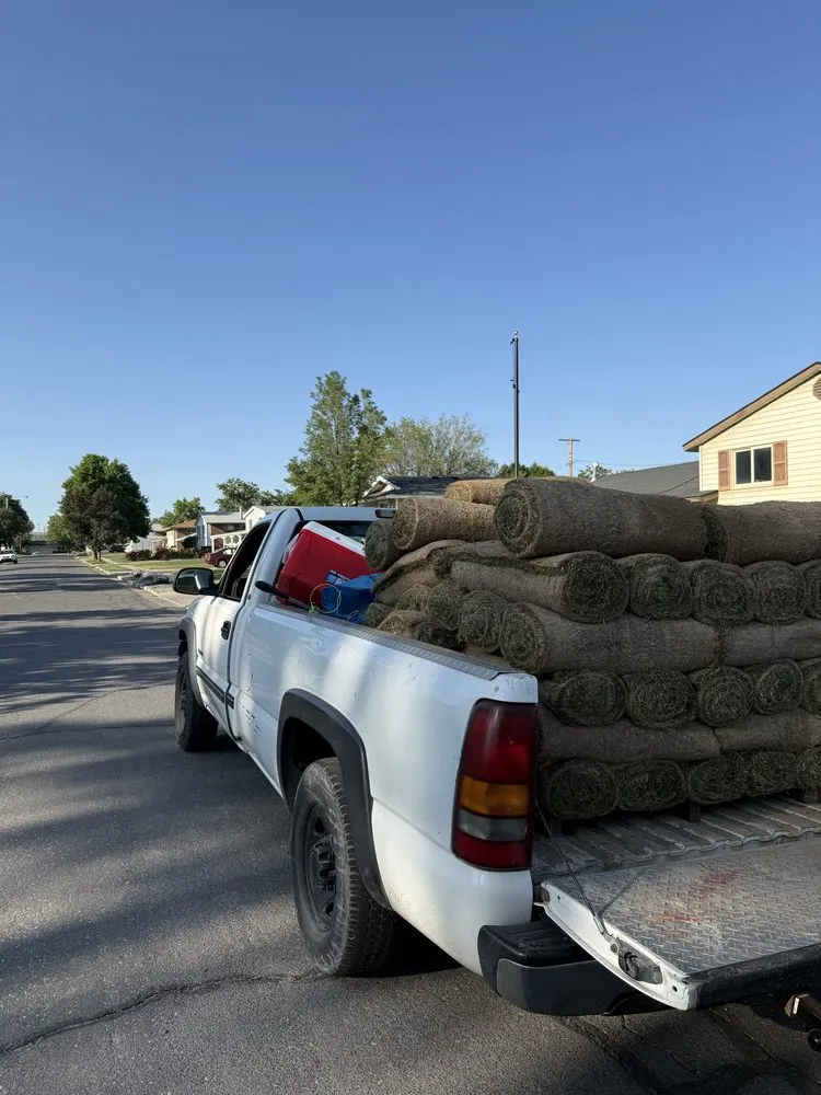 Reliable yard cleanup service experts serving South Salt Lake, UT - Jamp Construction