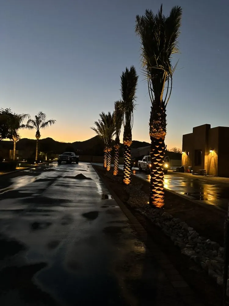 Top-rated residential landscaping in Surprise, AZ - Jam's Landscape and Design