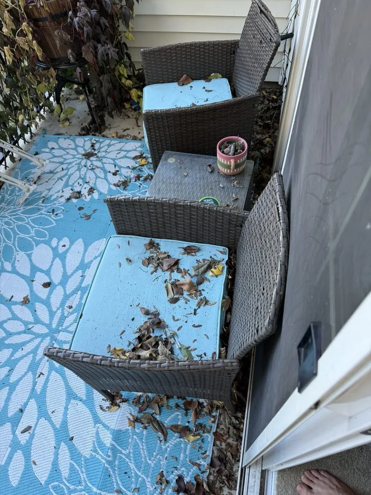 Expert yard cleanup service in Crownsville, MD - Jams Lawn & Gardening