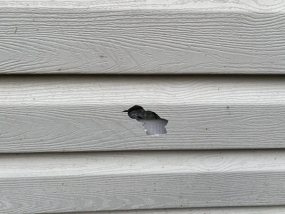 Top-rated garden landscaping for year-round maintenance across Crownsville, MD - Jams Lawn & Gardening