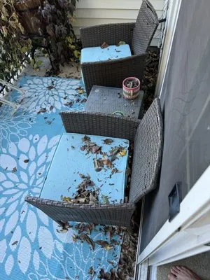 Jams Lawn & Gardening