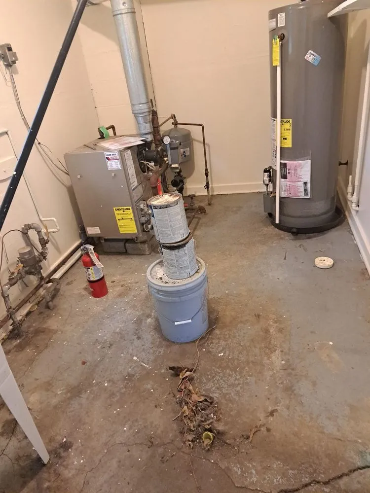 Professional landscaping services experts serving Dayton, OH - JAMS Property Preservation