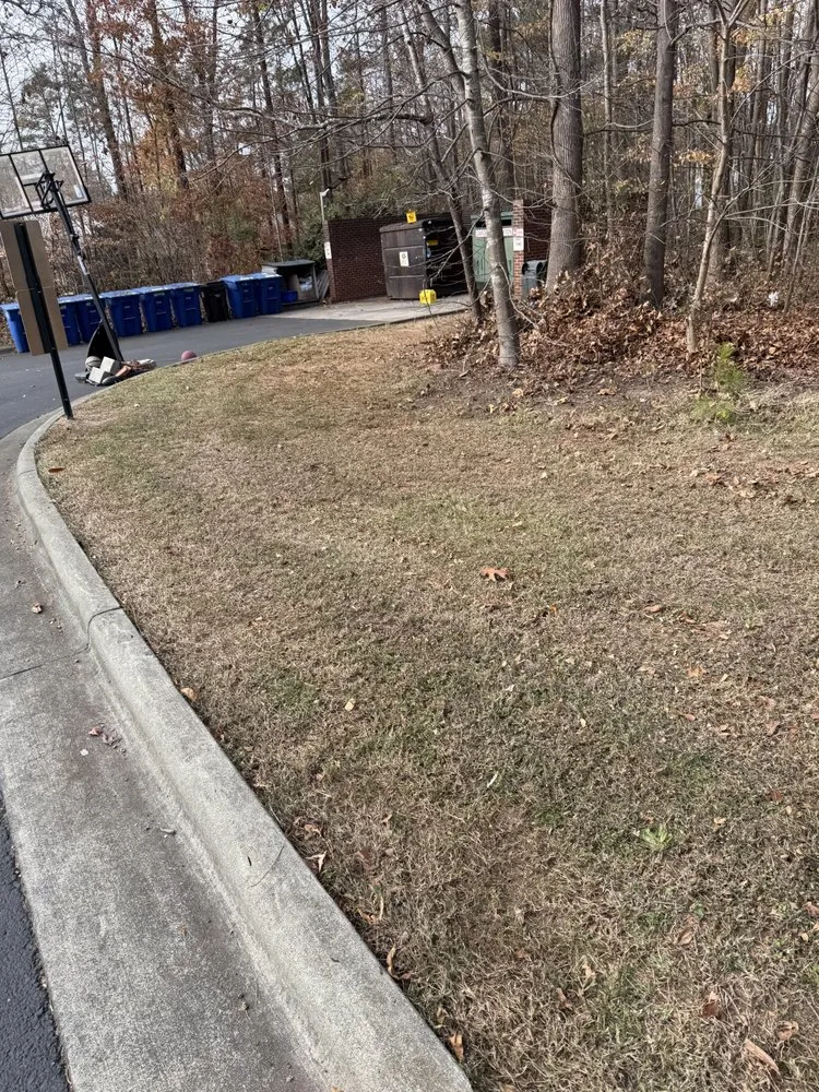 Top-rated landscape design experts serving Green Level, NC - Jandx Lawncare