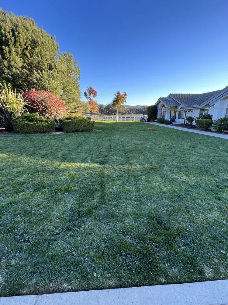 Affordable lawn care service for year-round maintenance across Santa Maria, CA - Jane’s Landscaping
