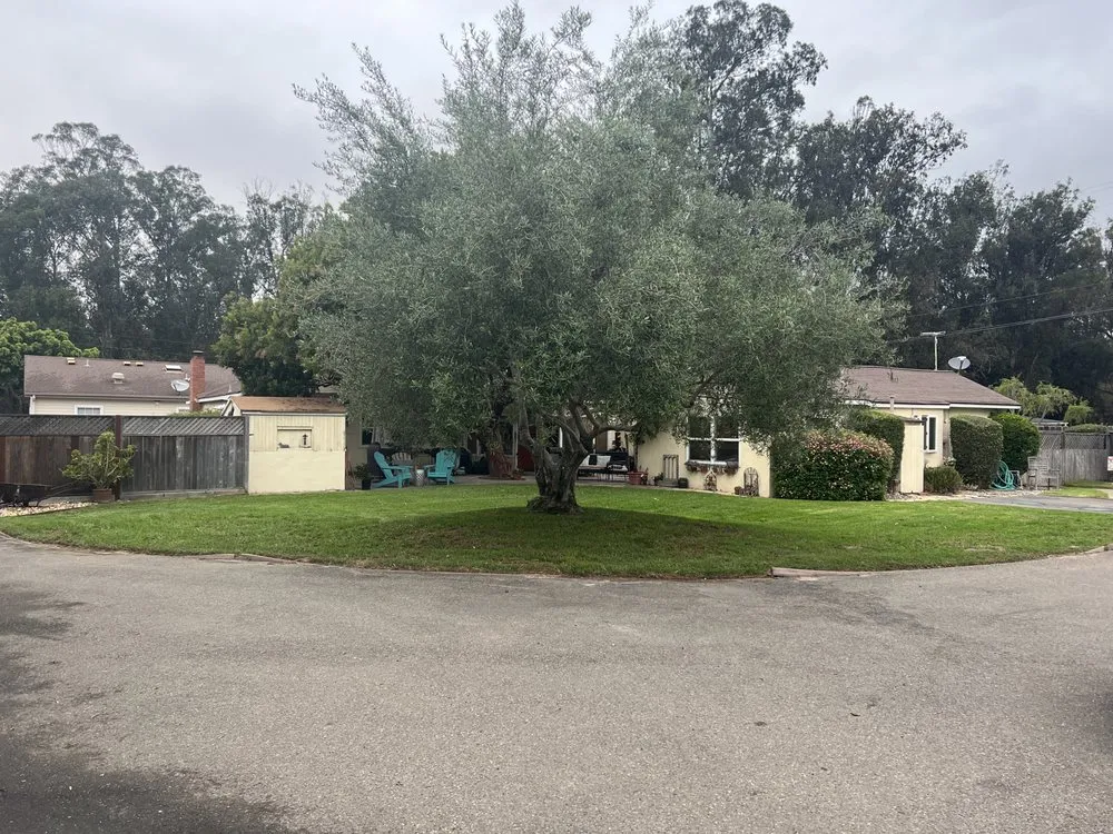 Top-rated garden landscaping for outdoor upgrades in Santa Maria, CA by Jane’s Landscaping