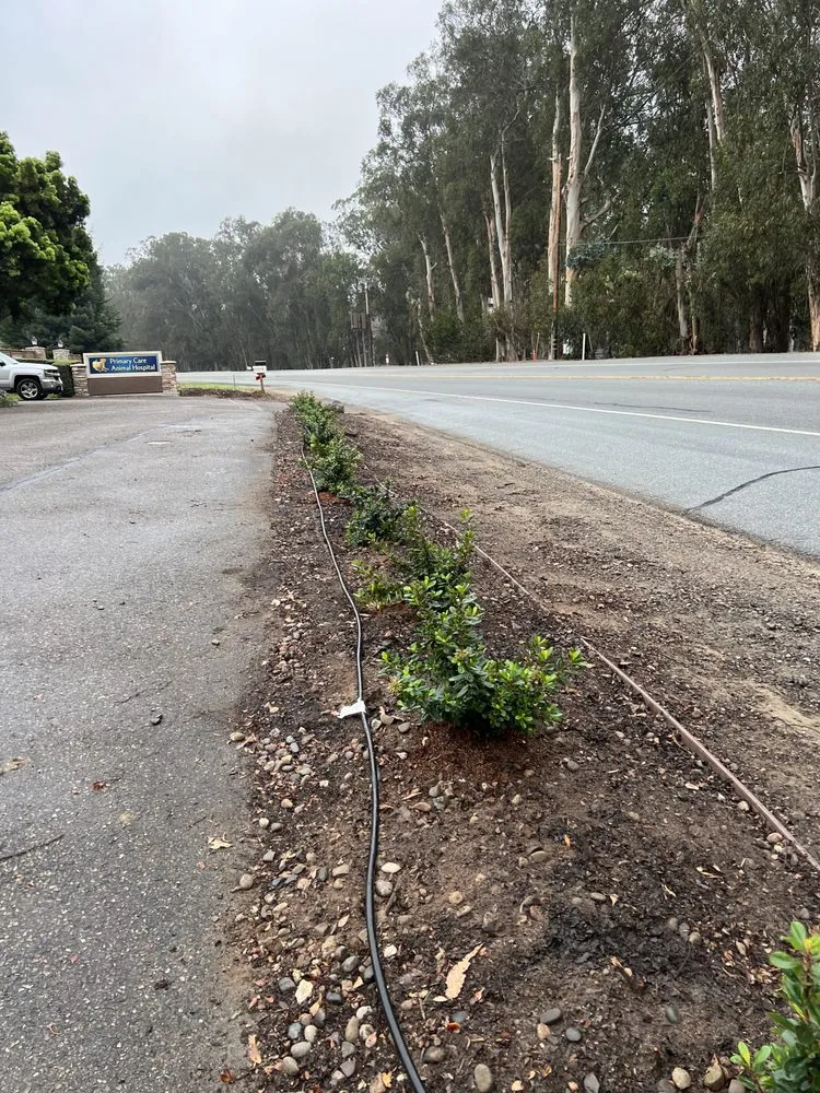 Affordable landscaping services experts serving Santa Maria, CA - Jane’s Landscaping