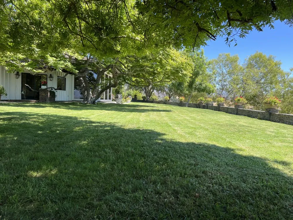 Professional lawn care service in Santa Maria, CA - Jane’s Landscaping