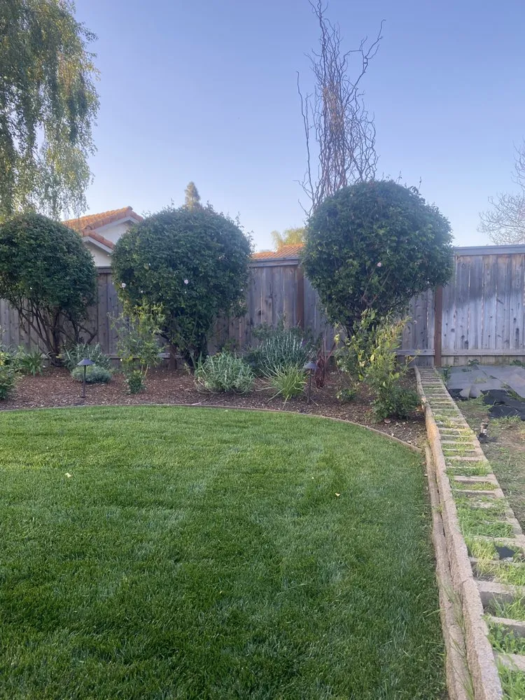 Affordable lawn care service in Santa Maria, CA by Jane’s Landscaping