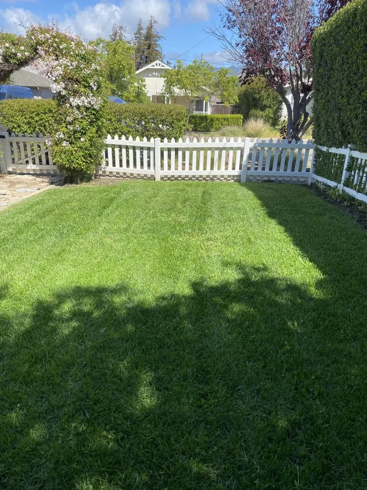 Local landscape installation in Santa Maria, CA by Jane’s Landscaping