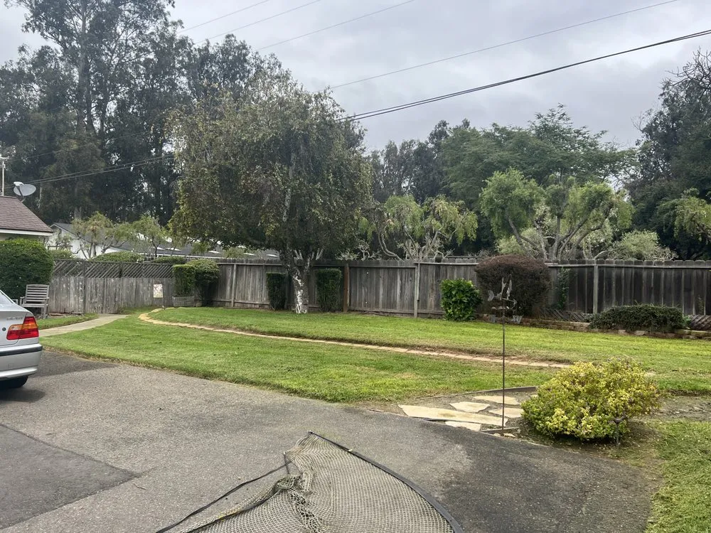 Trusted residential landscaping in Santa Maria, CA by Jane’s Landscaping