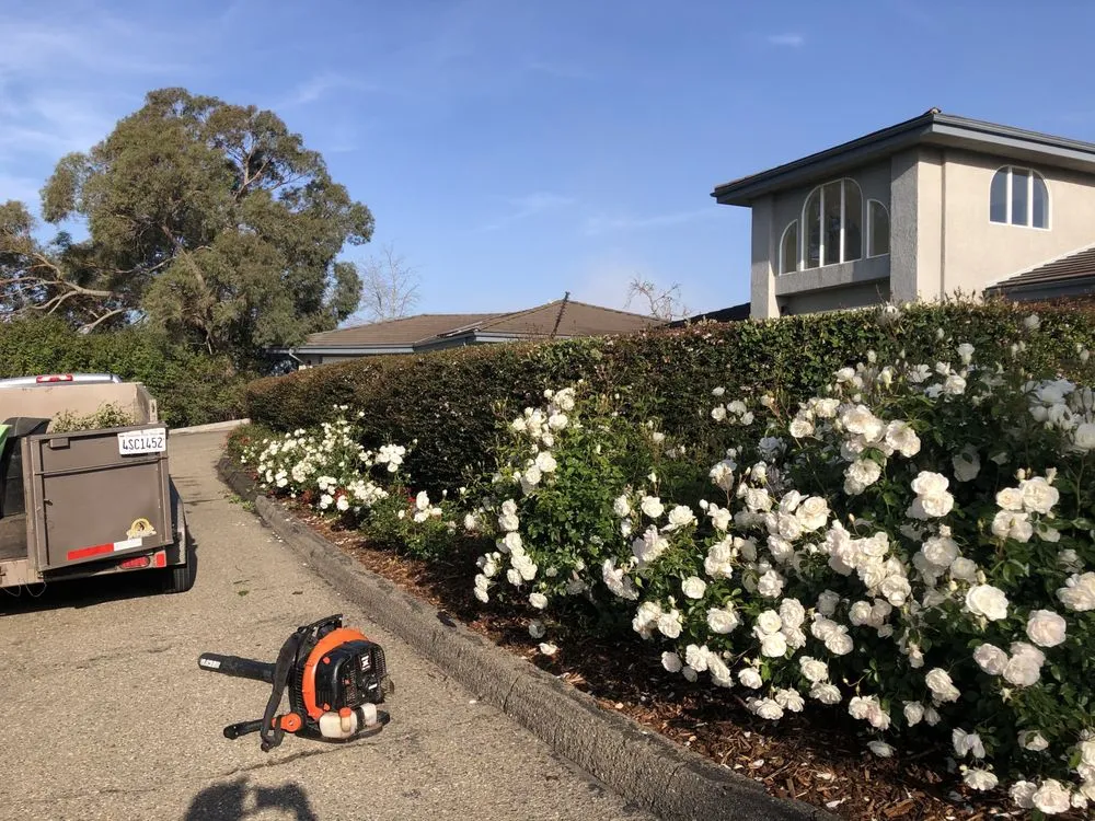 Affordable lawn mowing service in Santa Maria, CA - Jane’s Landscaping