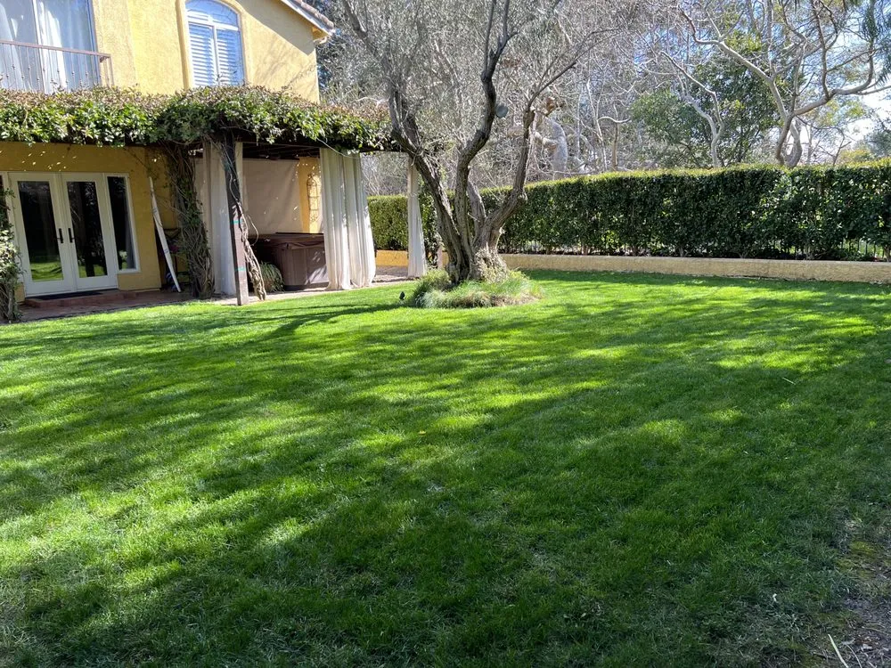 Reliable residential landscaping in Santa Maria, CA - Jane’s Landscaping