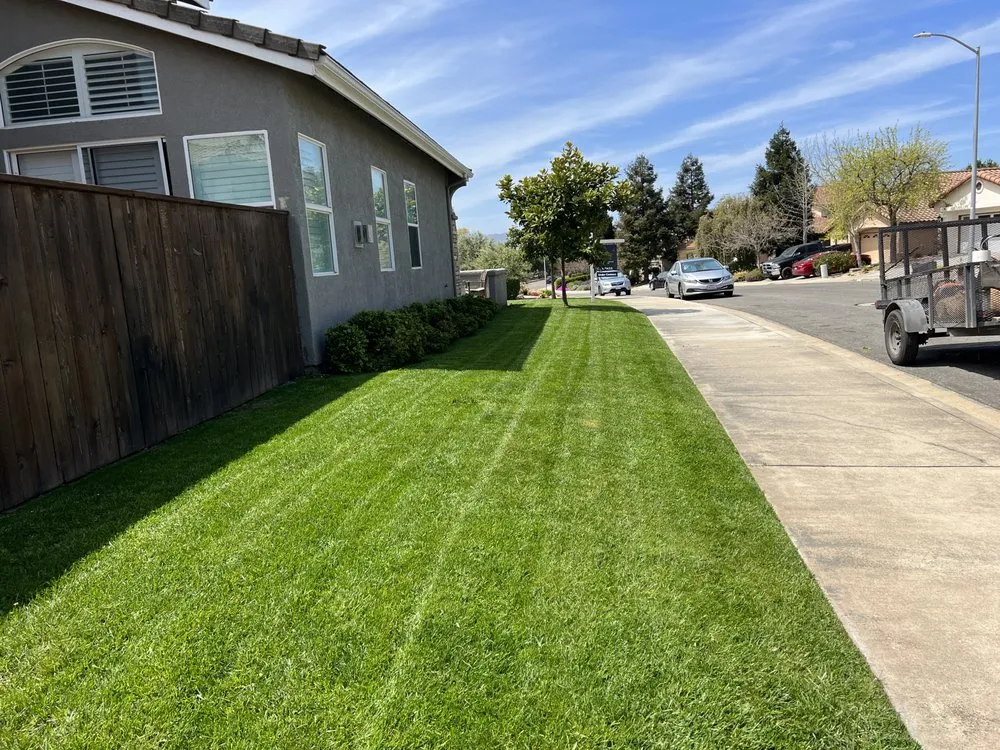 Reliable yard maintenance experts serving Santa Maria, CA - Jane’s Landscaping
