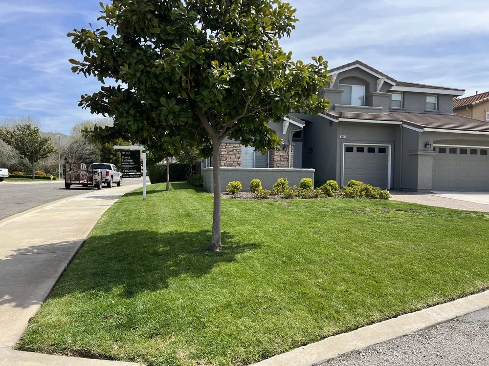 Expert lawn care service for homes across Santa Maria, CA - Jane’s Landscaping
