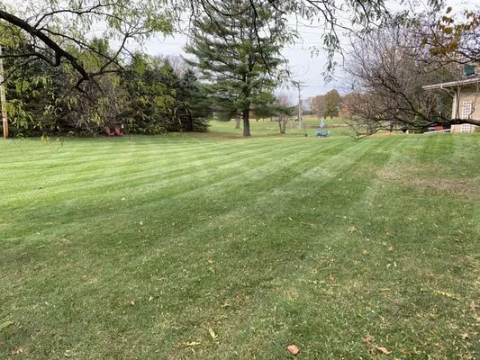 Janesville Lawn Service