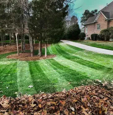 Professional landscaping services in Freeport, IL by Janicke Professional Lawn Care & Snowplowing