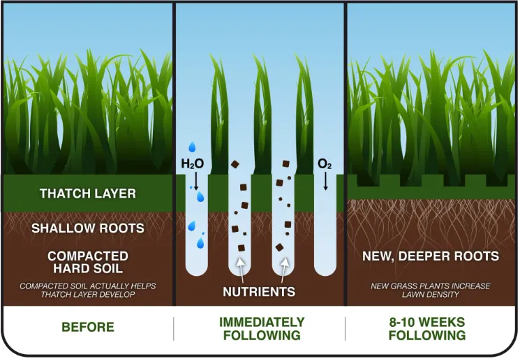 Affordable landscaping services for homes across Freeport, IL - Janicke Professional Lawn Care & Snowplowing