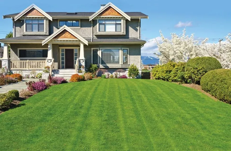 Professional outdoor landscaping in Freeport, IL by Janicke Professional Lawn Care & Snowplowing