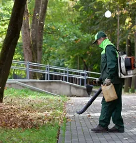 Professional yard cleanup service in Freeport, IL - Janicke Professional Lawn Care & Snowplowing