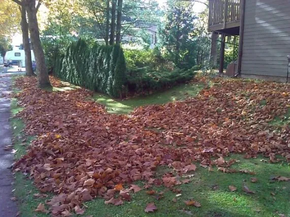 Professional garden landscaping in Freeport, IL - Janicke Professional Lawn Care & Snowplowing