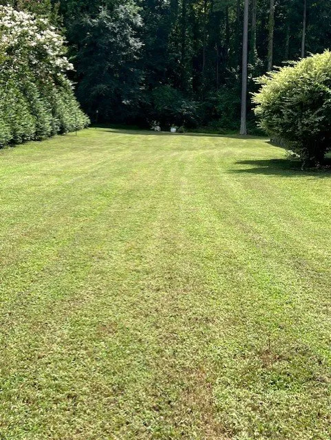 Reliable garden landscaping experts serving Louisburg, NC - Janko's Lawn Mowing