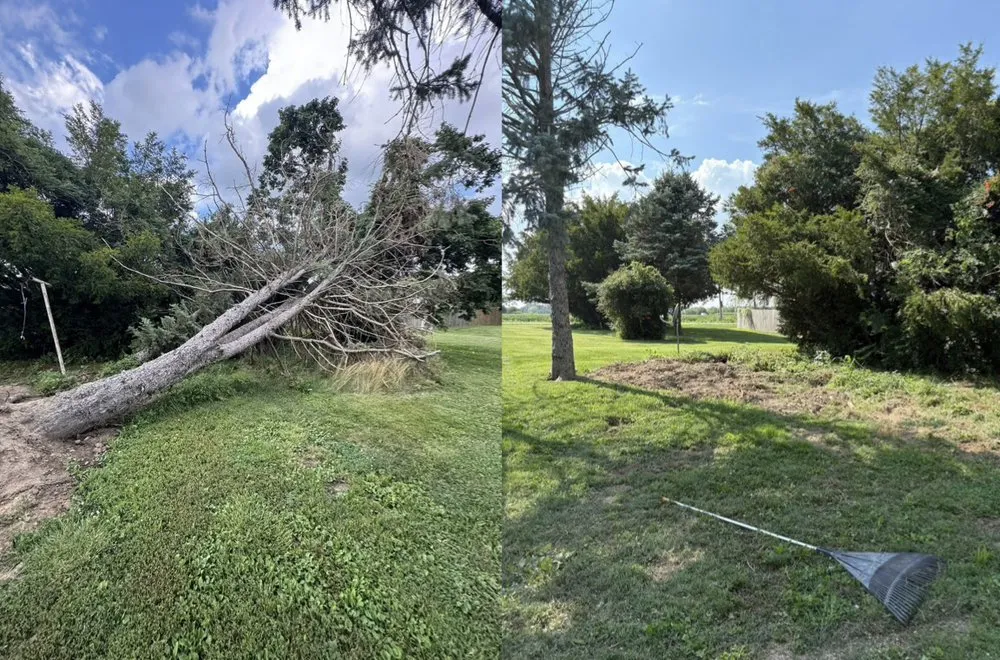 Local landscape installation for beautiful yards across Anderson, IN - Jannings Property Solutions