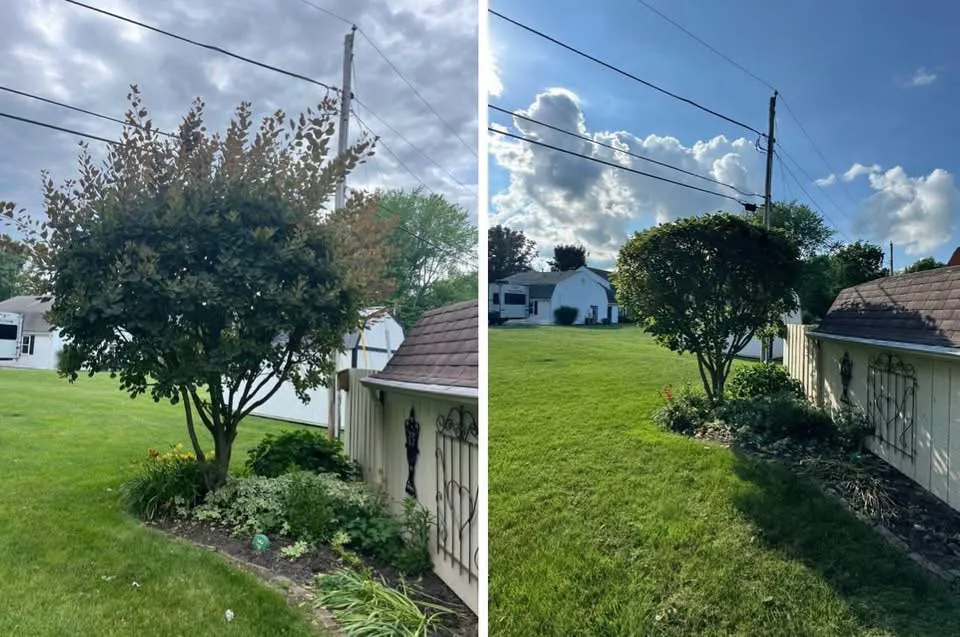 Top-rated lawn mowing service experts serving Anderson, IN - Jannings Property Solutions