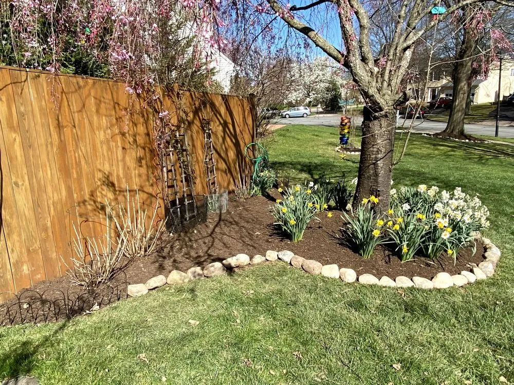 Professional lawn mowing service for beautiful yards across Leesburg, VA - Jano Lawncare Services