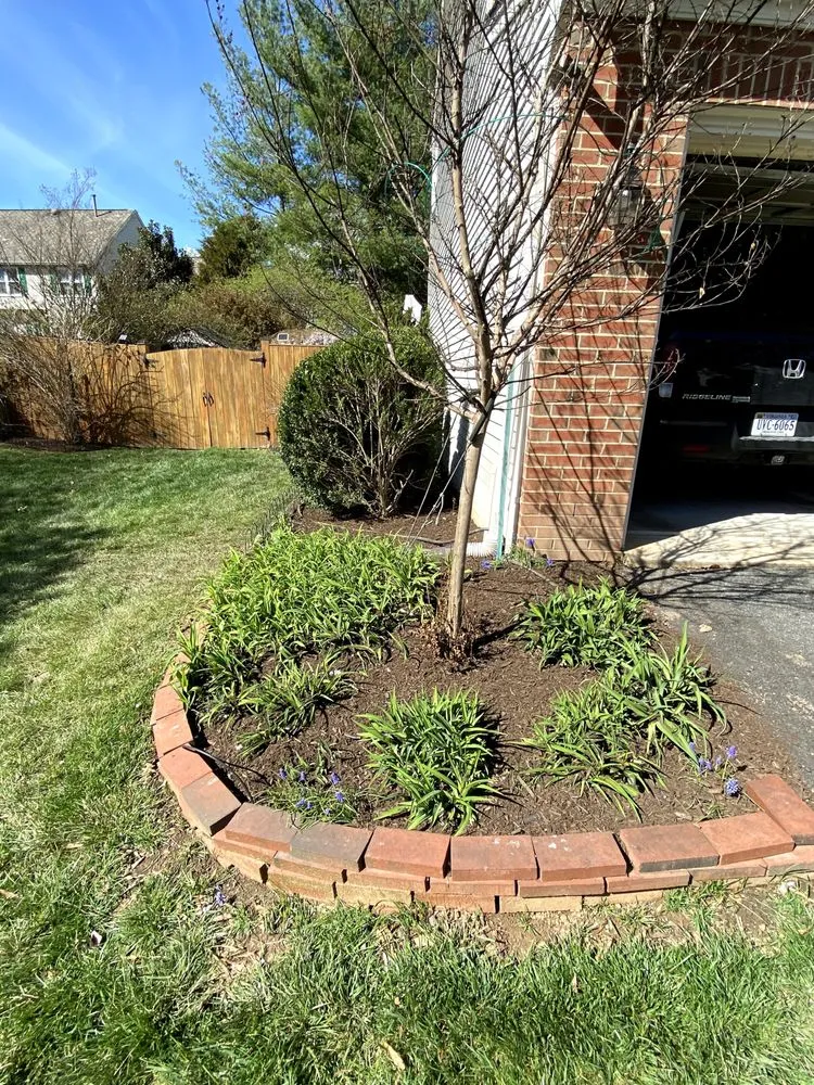 Custom yard maintenance experts serving Leesburg, VA - Jano Lawncare Services