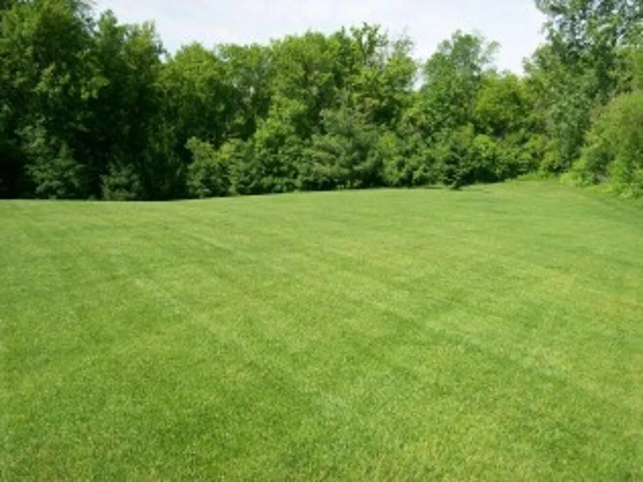 Affordable landscape design experts serving Tiffin, IA - Jans Lawn Care & Landscaping