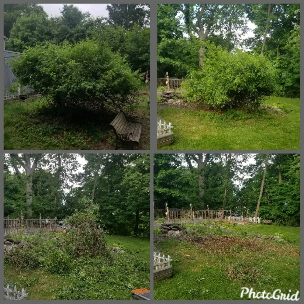 Reliable landscaping services in Middletown, NY by Janscaping