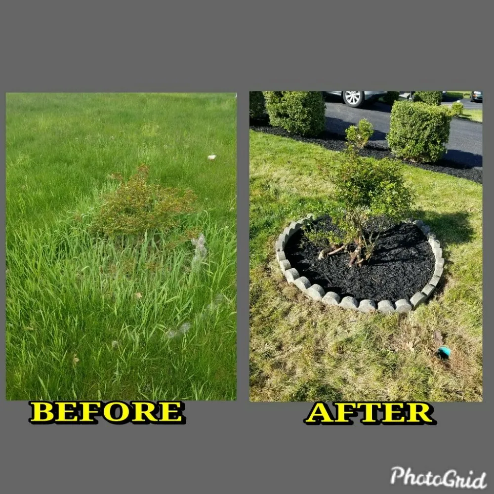 Professional lawn care service in Middletown, NY - Janscaping