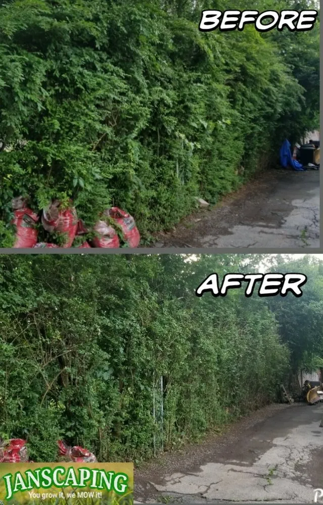 Top-rated lawn care service in Middletown, NY by Janscaping