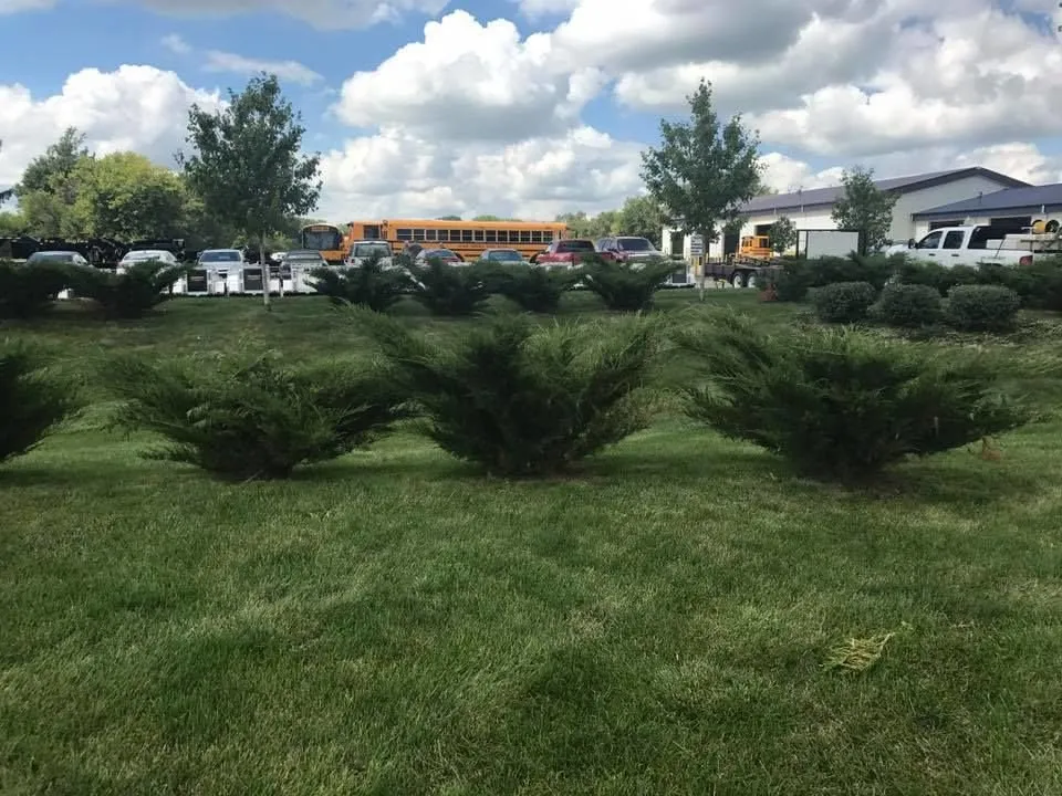 Trusted yard maintenance for residential properties in Urbandale, IA by Jaques Lawn Care