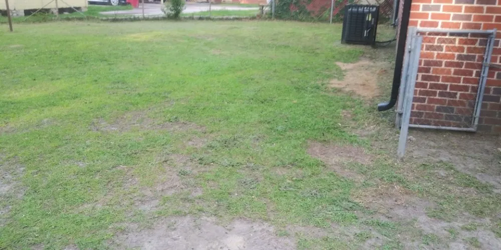 Top-rated outdoor landscaping experts serving Byron, GA - Jar Head Home Services