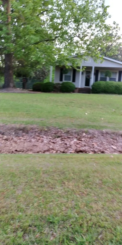 Professional lawn care service in Byron, GA - Jar Head Home Services