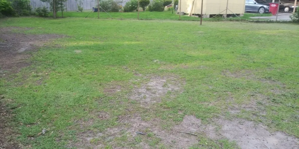 Expert garden landscaping for beautiful yards across Byron, GA - Jar Head Home Services