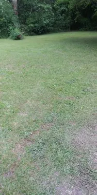 Jar Head Home Services Logo