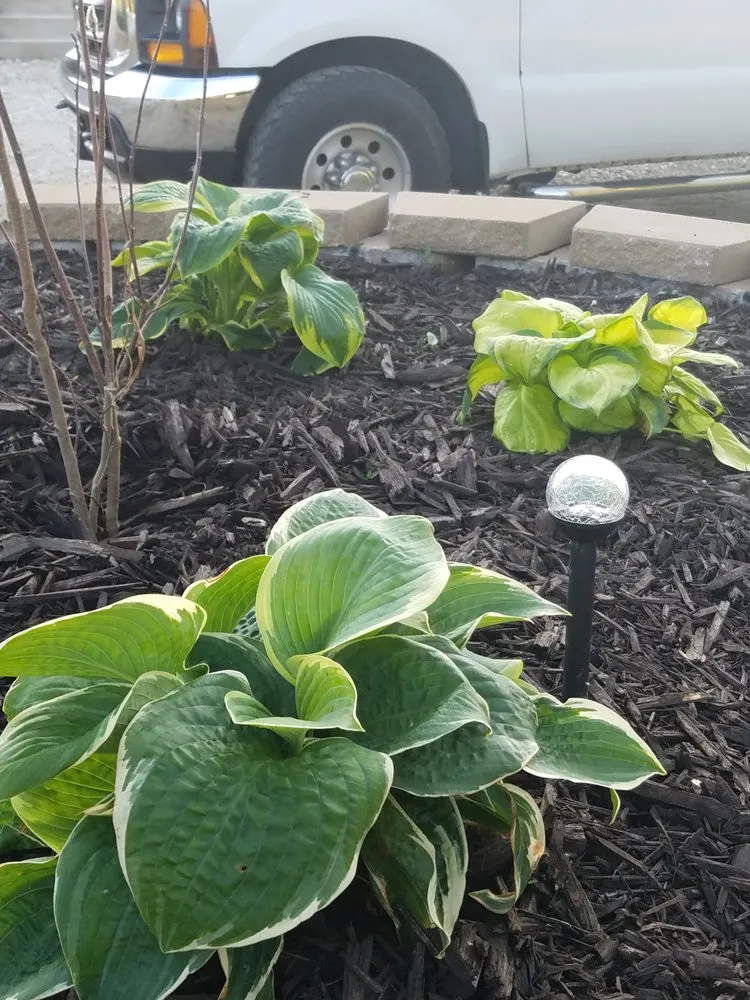 Local lawn care service in Athens, IL - JAR Landscaping