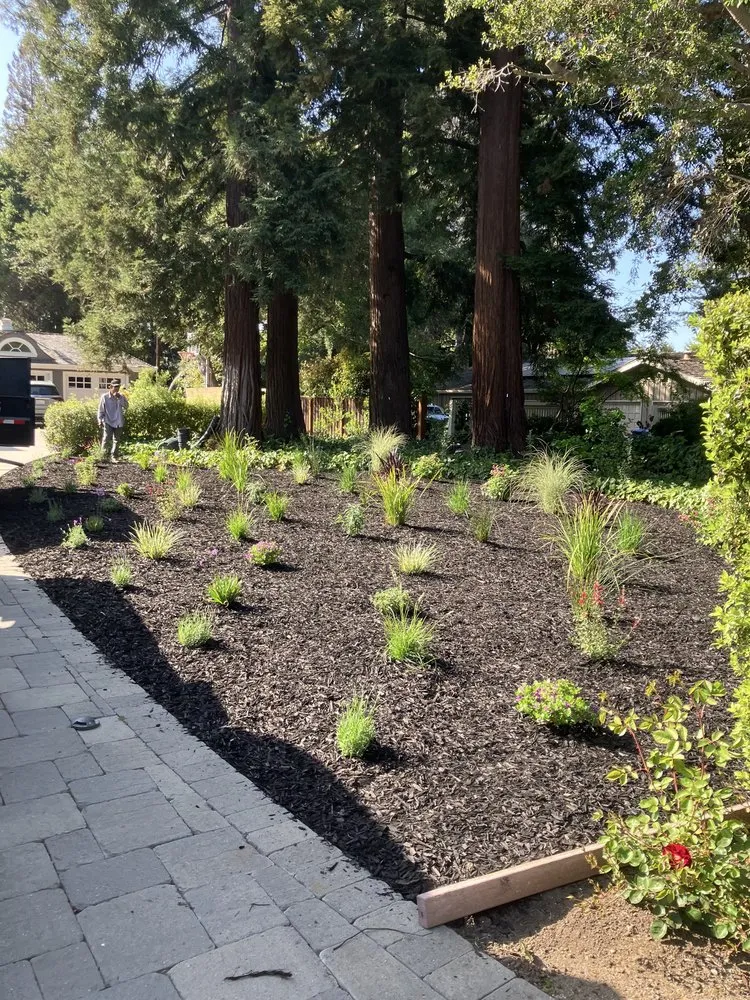 Professional outdoor landscaping experts serving Redwood City, CA - Jara Gardening and Landscaping