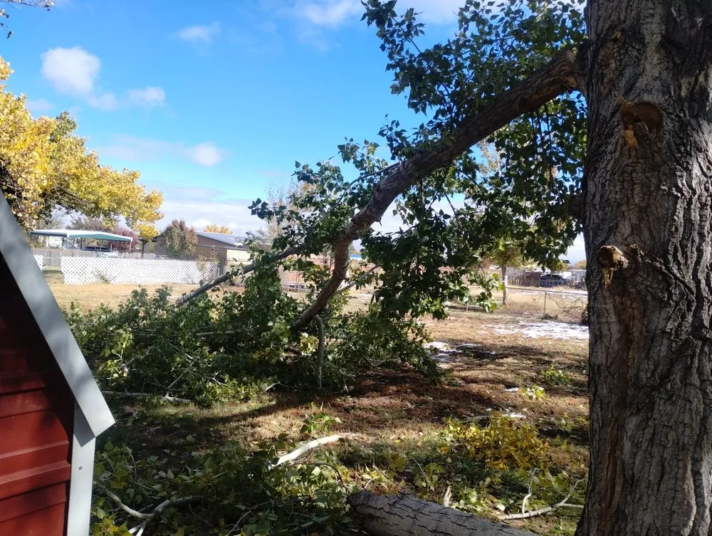 Trusted outdoor landscaping for year-round maintenance in Los Lunas, NM by Jaramillos Lawn And Tree Trimming