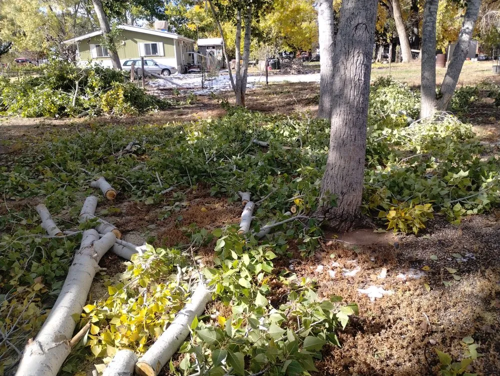 Affordable residential landscaping in Los Lunas, NM by Jaramillos Lawn And Tree Trimming