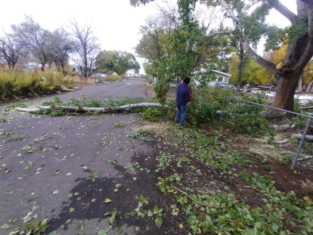 Trusted lawn care service for outdoor upgrades in Los Lunas, NM by Jaramillos Lawn And Tree Trimming