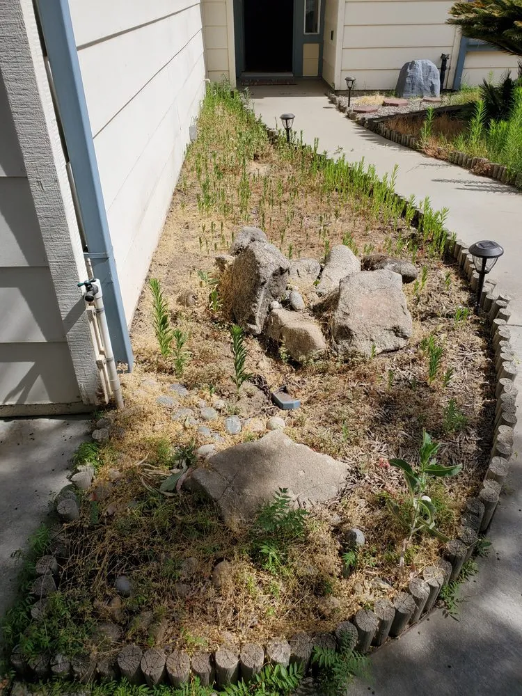 Affordable residential landscaping experts serving Clovis, CA - Jara's Landscaping