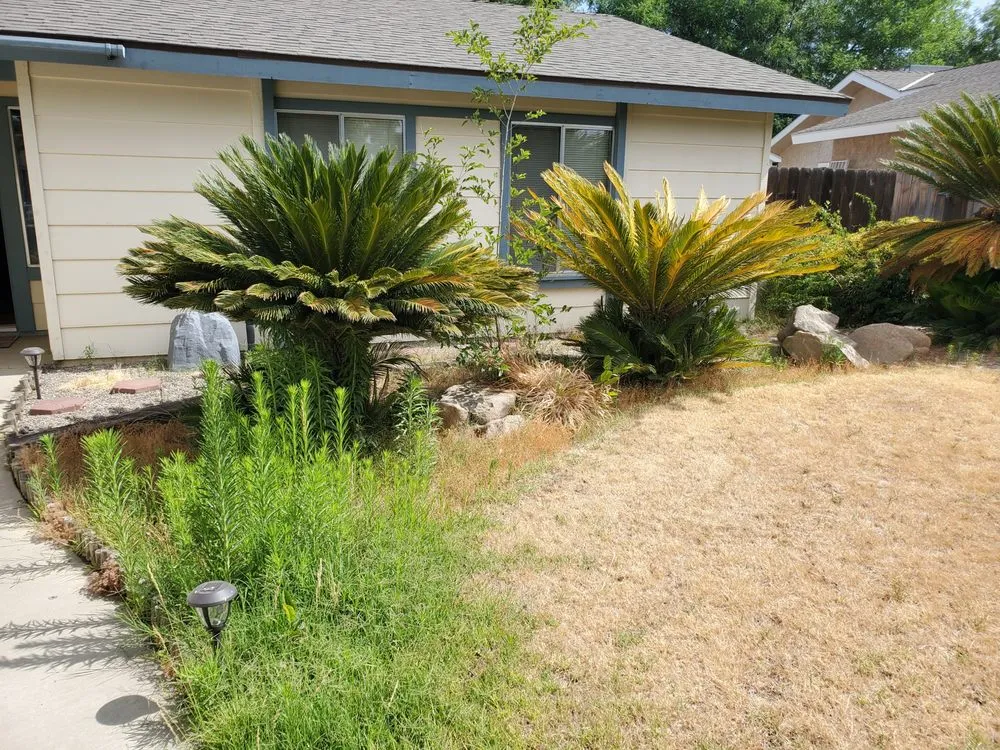 Trusted landscape installation for residential properties across Clovis, CA - Jara's Landscaping