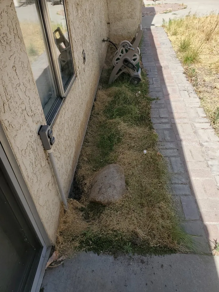 Reliable landscape design in Clovis, CA by Jara's Landscaping