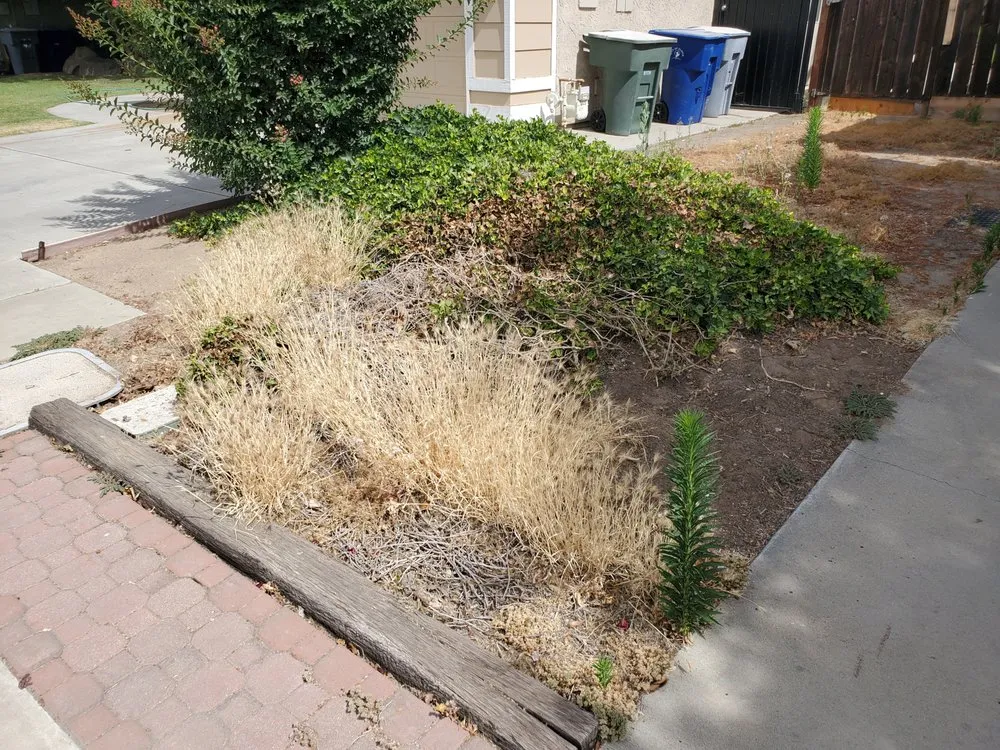 Expert residential landscaping in Clovis, CA by Jara's Landscaping