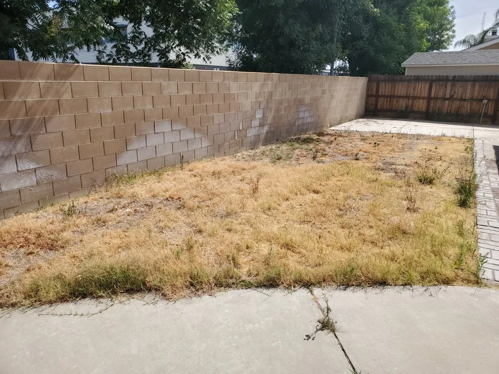 Custom lawn care service experts serving Clovis, CA - Jara's Landscaping