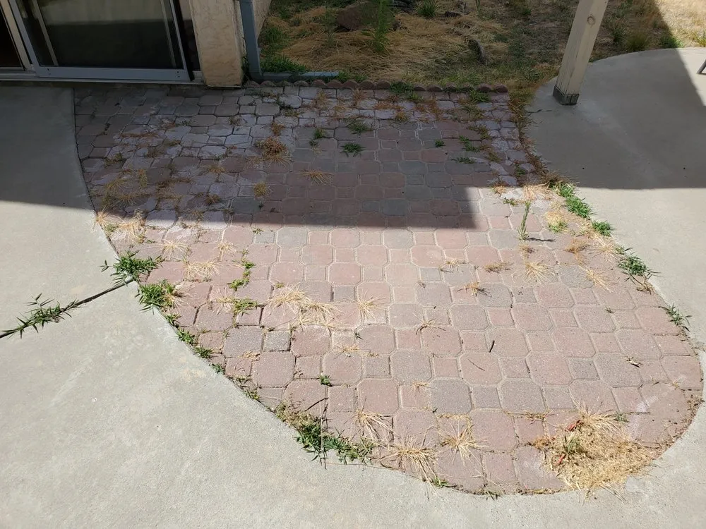 Affordable residential landscaping experts serving Clovis, CA - Jara's Landscaping